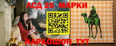 трава Кандалакша
