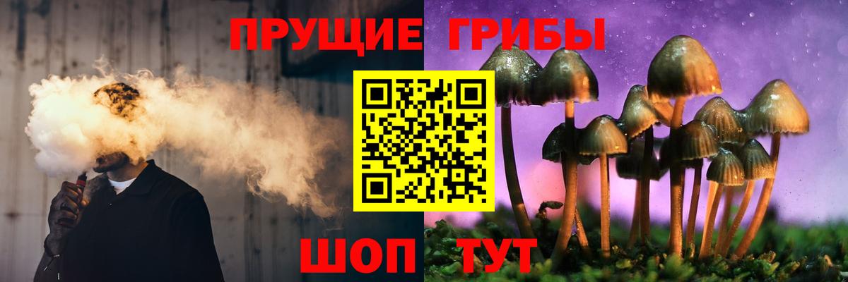 где найти   Галлюциногенные грибы мицелий  Вход с VPN  Кунгур 